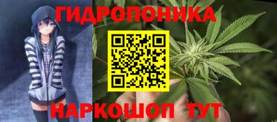 молекула духа Ярцево